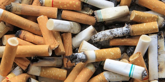 Scientists have found a way to build houses out of 1.2 million tonnes of discarded cigarette butts